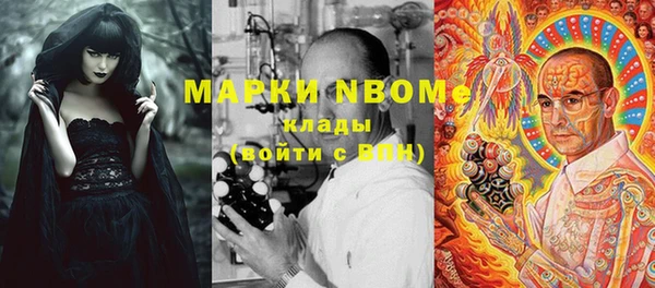 прущие грибы Алексин