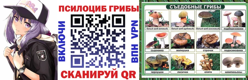магазин  наркотиков  Белоярский  Псилоцибиновые грибы Magic Shrooms 